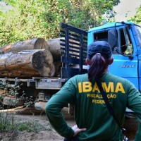 Ibama aplicou R$ 1,2 bilhão em multas nos seis primeiros meses do ano