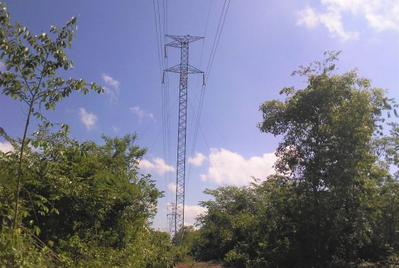 Pesquisa arqueológica no município de Brasileira/PI Pesquisa arqueológica no município de Brasileira/PI